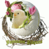 Easter Chick Online Image Editor, Online Images, Free Online, Easter serapportantà Gif Paques 2023