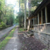 Elkmont Tn Ghost Town'S Sad History &amp; Why You Need To Visit! concernant Tn Ghost Green