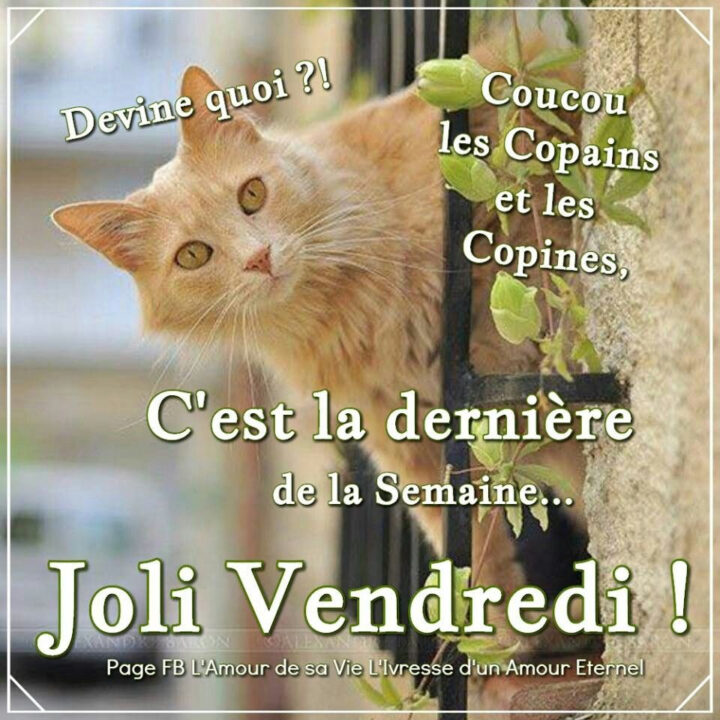 Épinglé Par Abondance Coach Sur Chats | Vendredi Images, Vendredi avec Image Bon Vendredi Bisous