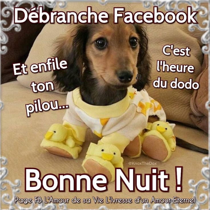 Épinglé Par Béabob Sur Lol | Bonne Nuit, Bonne Nuit Drôle, Bonne Nuit pour Images Bonne Soirée Humour