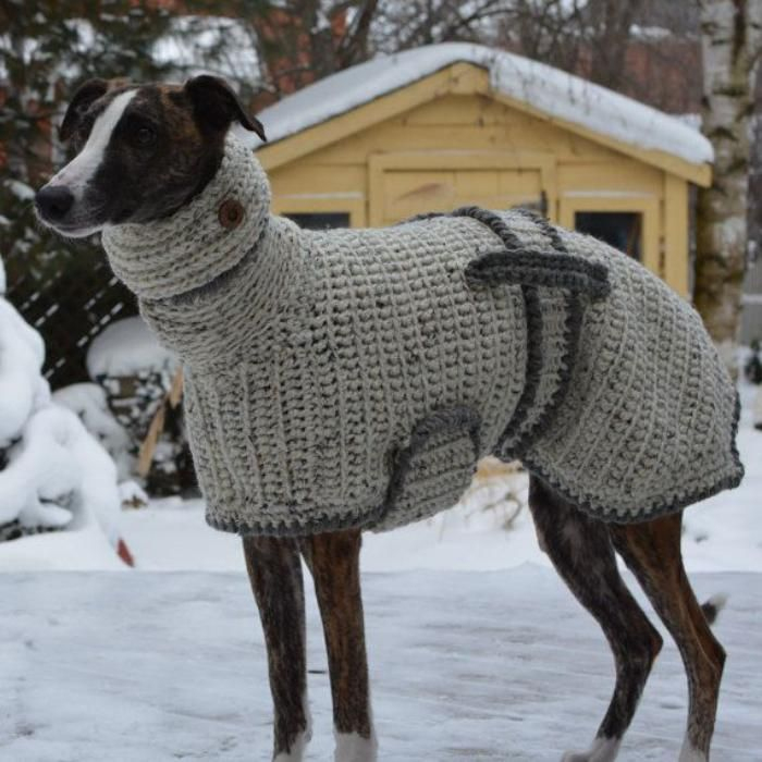 Épinglé Sur Animaux pour Gratuit Patron Manteau Chien Pdf