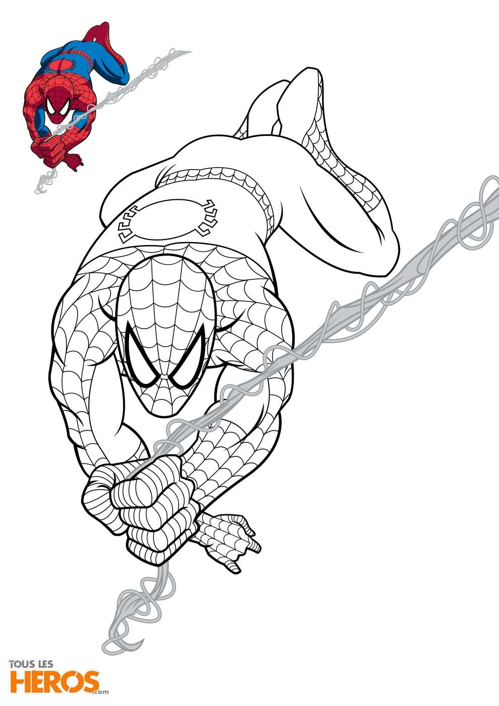 Épinglé Sur Coloriages De Tlh pour Spiderman Imprimer
