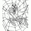 Épinglé Sur Coloriages Super-Héros concernant Dessin À Imprimer Gratuit Spiderman
