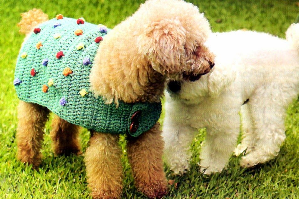 Épinglé Sur Tuto Crochet : Réaliser De Jolis Manteaux Pour Chiens En concernant Gratuit Patron Manteau Chien Pdf