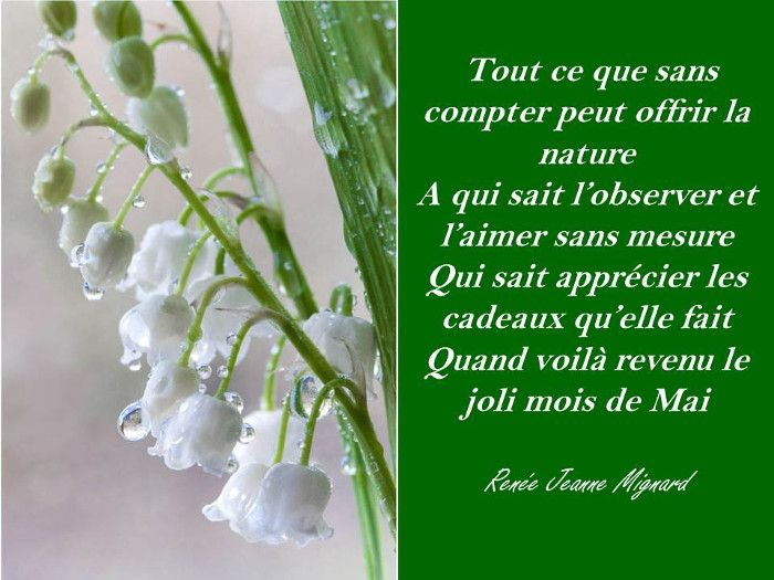 Fetons Le 1 Mai - Page 2 concernant Citation Muguet Porte Bonheur