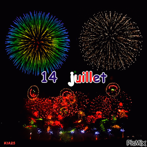 Feu Artifice - Gif Animado Gratis - Picmix dedans Gif Feu D&amp;#039;Artifice