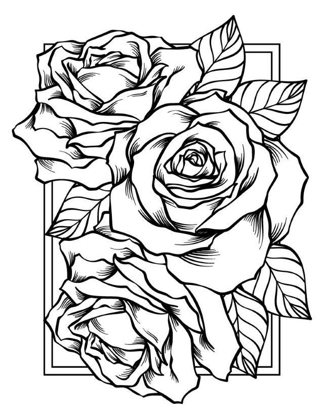 Free Adult Coloring Printables, Adult Coloring Designs, Printable Adult intérieur Coloriage Fleurs Roses