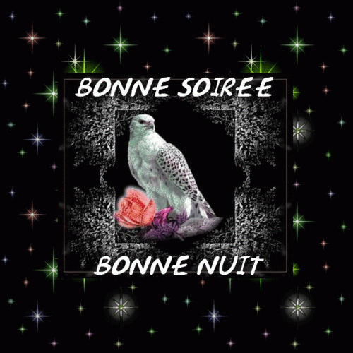 Gif Bonne Nuit - Image Bonne Nuit Et Animation Bonne Nuit serapportantà Tendresse Gif Bonne Nuit Amoureux