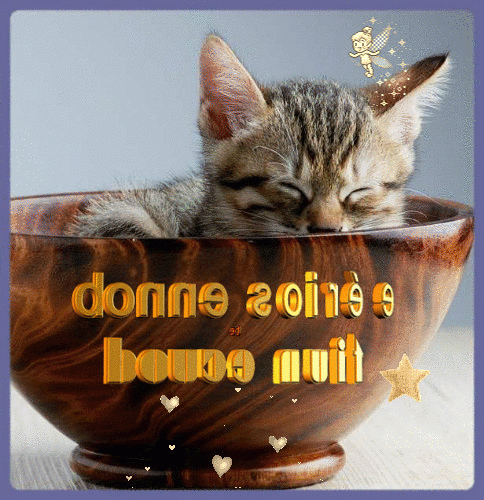 Gifs - Images Bonne Nuit Chats | Morning Greeting, Good Night, Cat S pour Scintillant Bonne Soirée Et Bonne Nuit Gif