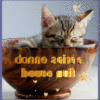 Gifs - Images Bonne Nuit Chats | Morning Greeting, Good Night, Cat S serapportantà Gif Bonne Nuit Amour