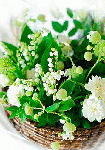 Gifs Muguet avec Muguet Porte Bonheur Gif