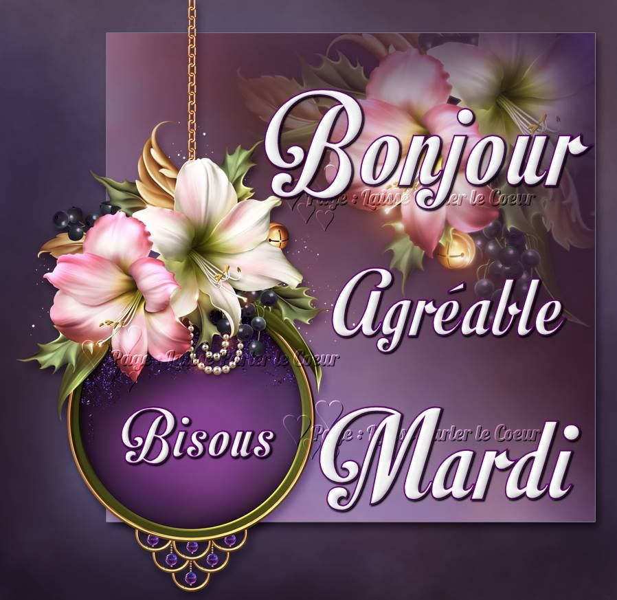 Humour Bon Mardi Gif | Blageusdown avec Bonjour Mardi Humour