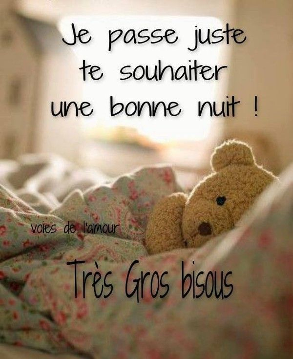 Image Drole Bonne Nuit | Bonne Nuit, Photo Ours, Souhaiter Bonne Nuit avec Bonne Nuit Humour