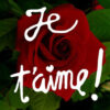 Image Gratuite Pour Dire Je T'Aime ! | Je T'Aime Mon Amour, Message pour Coeur Je T&amp;#039;Aime