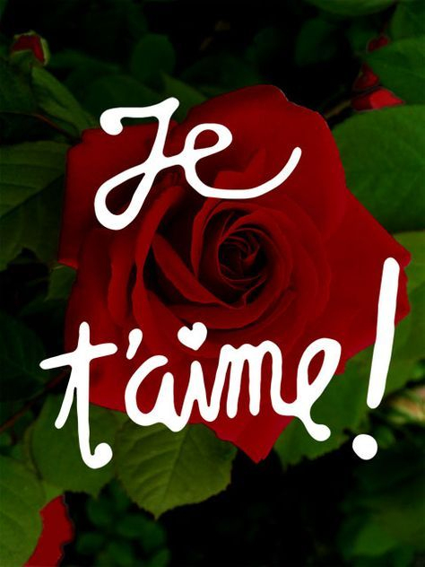 Image Gratuite Pour Dire Je T'Aime ! | Je T'Aime Mon Amour, Message pour Coeur Je T&amp;#039;Aime