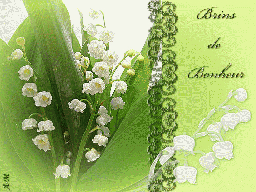 Image Muguet 1Er Mai - Fete 1Er Mai Maiglockchen Bilder Postkarten avec Muguet Porte Bonheur Gif