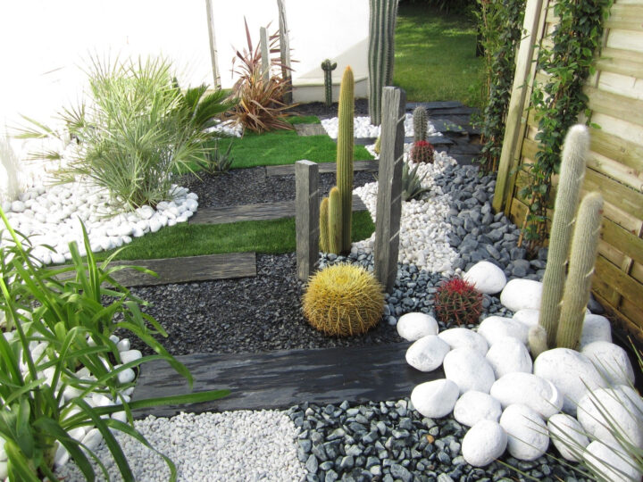 Jardin Sec: Cactus, Galets Polis Blancs, Gazon Synthétique, Plaques De avec Parterre Cailloux Blanc Et Ardoise