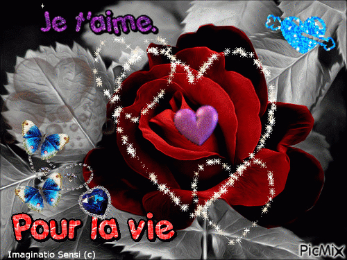 Je T Aime Pour La Vie - Free Animated Gif - Picmix tout Je T&amp;#039;Aime Gif