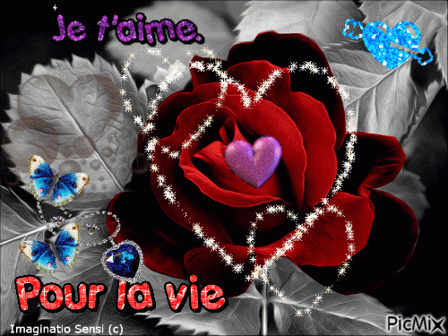 Je T Aime Pour La Vie - Free Animated Gif - Picmix tout Je T'Aime Gif