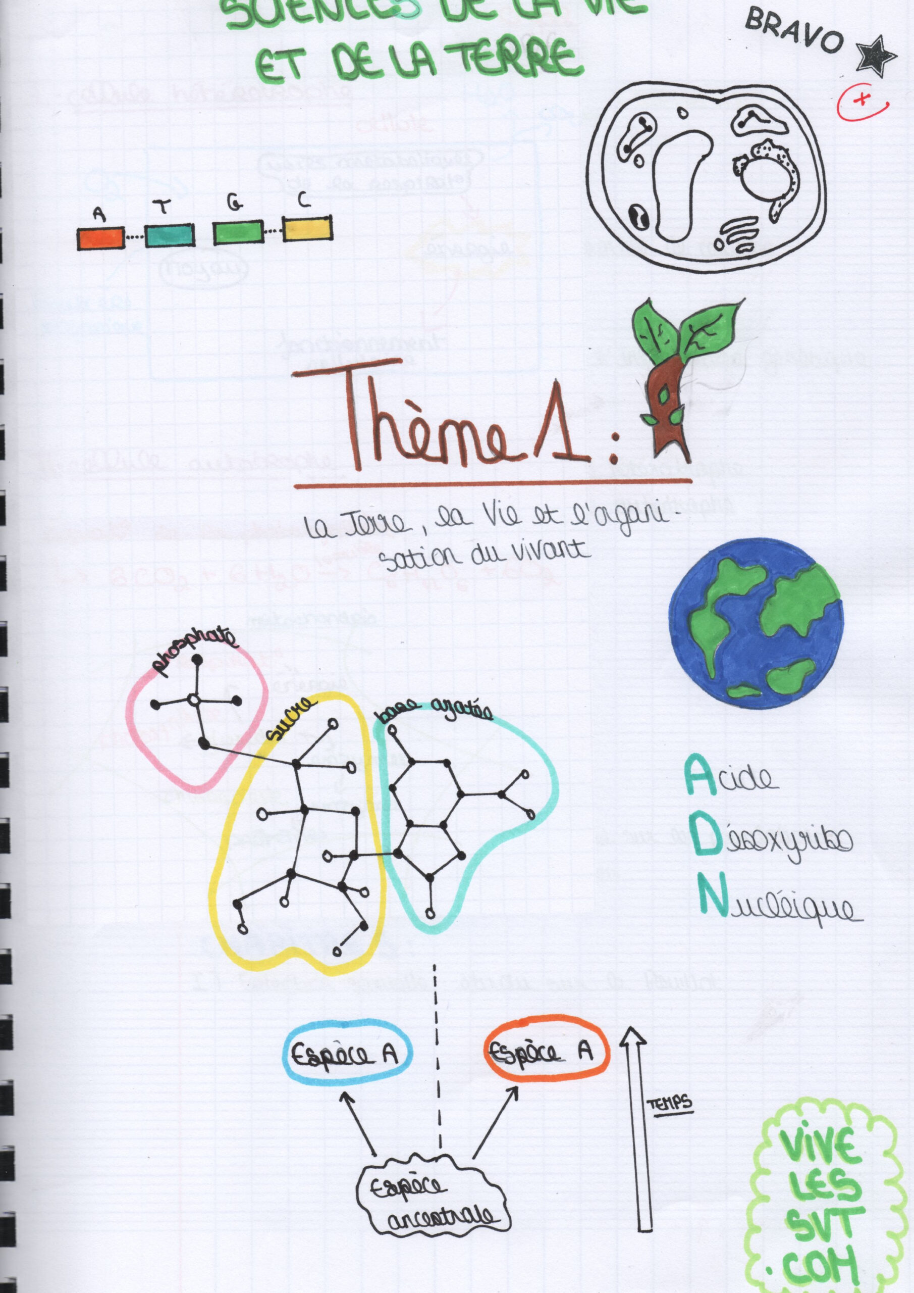 Le Programme De Seconde En Svt | Vive Les Svt ! Les Sciences De La Vie dedans Page De Garde Sciences