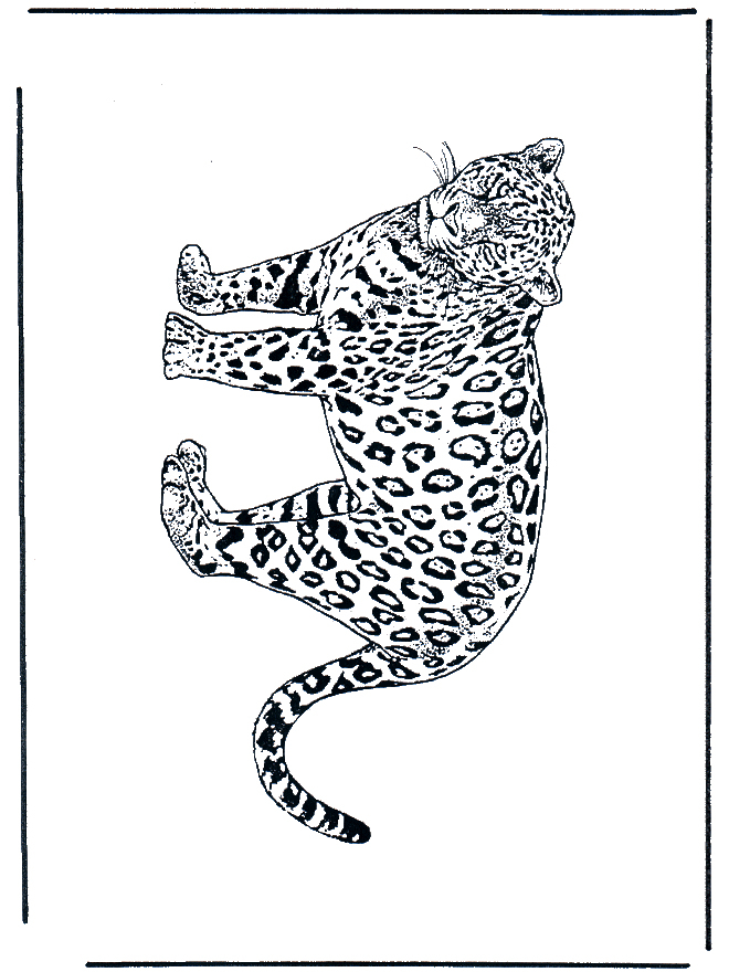 Léopard 2 - Coloriages Chats tout Leopard Coloriage
