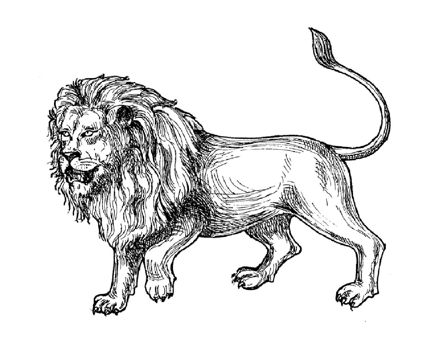Lion Afrique - Coloriages De Lions Pour Enfants encequiconcerne Coloriage À Imprimer Lion