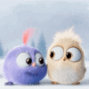 Lots Of Emotion - But Mostly Anger - On The Official Angry Birds Giphy intérieur Gif Amour Mignon