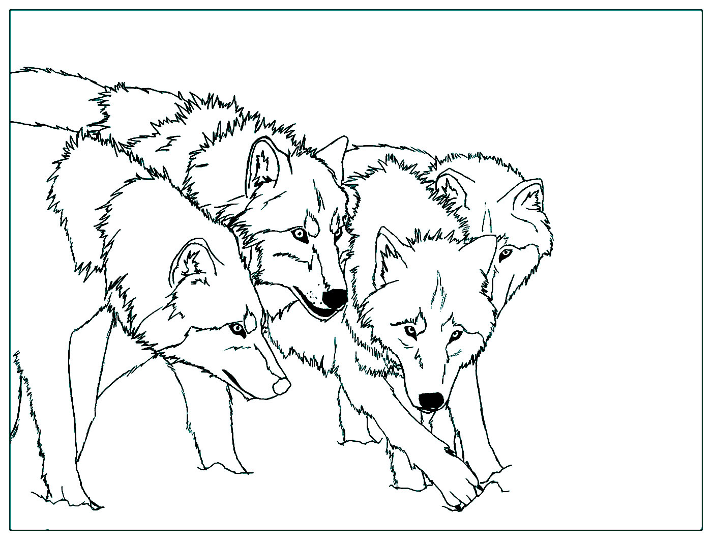 Meute De Loup - Coloriages De Loups Pour Enfants tout Coloriage Loup Imprimer