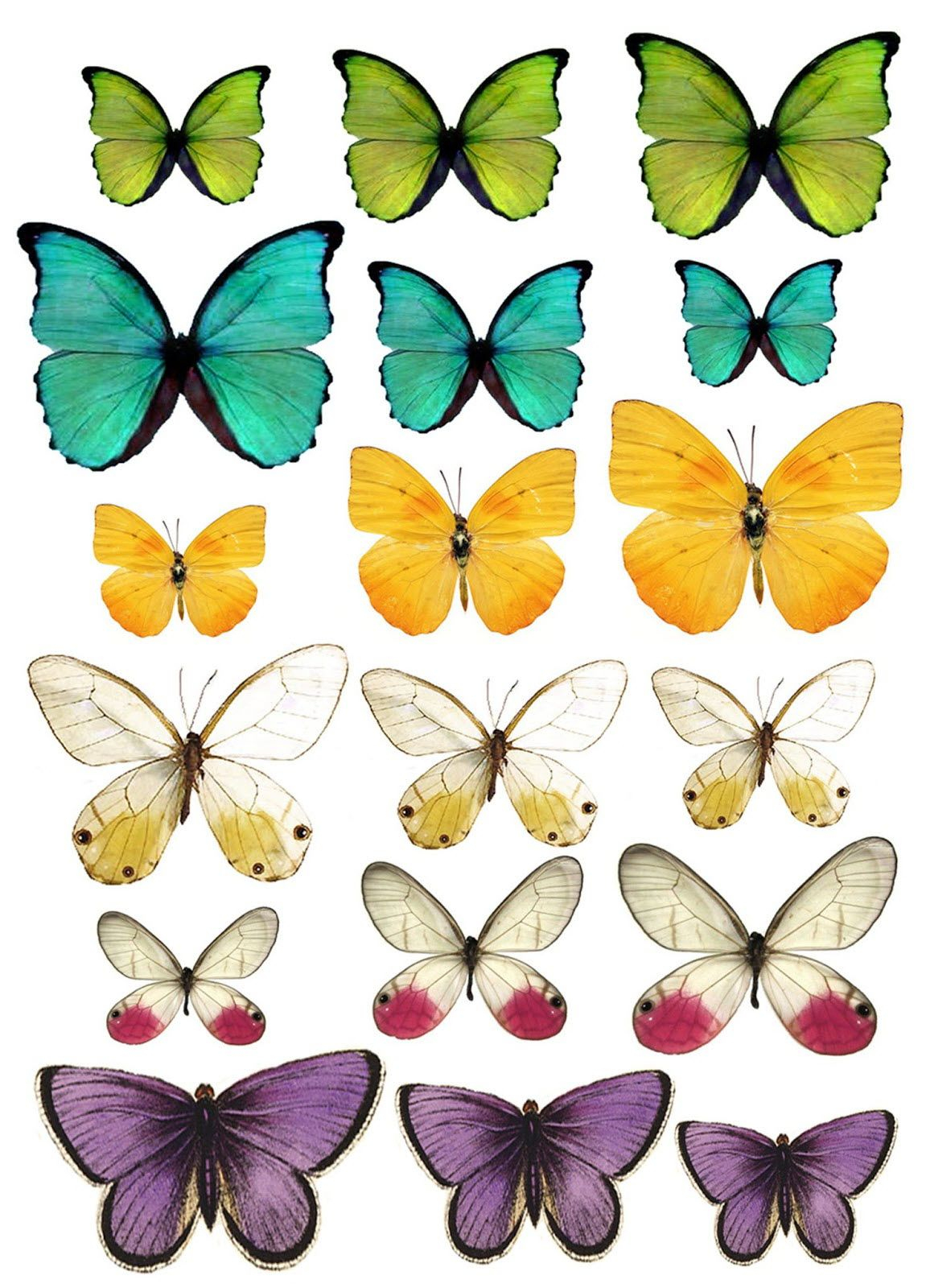 Modèle De Papillon À Découper | Butterfly Printable, Butterfly Template destiné Dessin Papillon À Imprimer