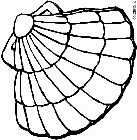 Oyster Shell Coloring Pages At Getcolorings | Free Printable pour Coquillage À Colorier