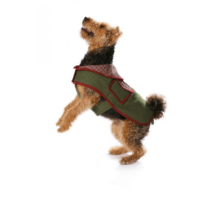 Patron Burda : Patron Manteau Pour Chien Burda N°7752 Patron De Couture concernant Gratuit Patron Manteau Chien Pdf