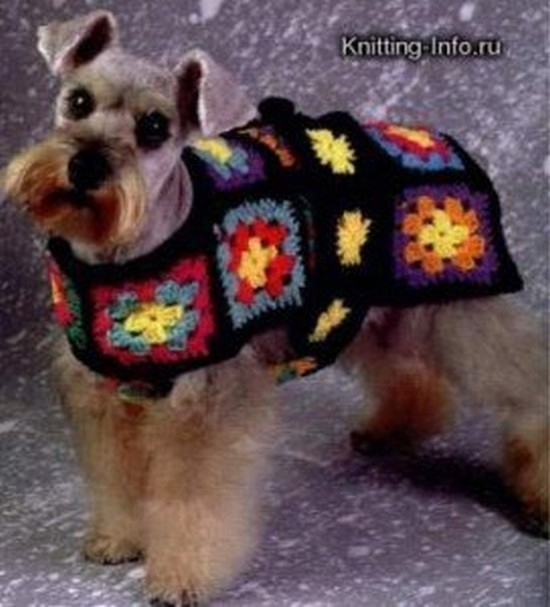 Patron Crochet Manteau Chien (6) dedans Gratuit Patron Manteau Chien Pdf