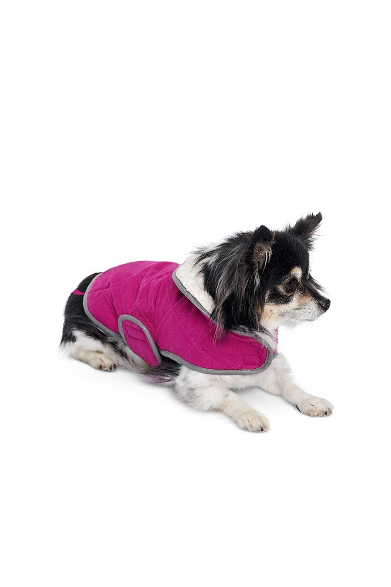 Patron De Manteau Pour Chien - Burda 6049 | Rascol intérieur Gratuit Patron Manteau Chien Pdf