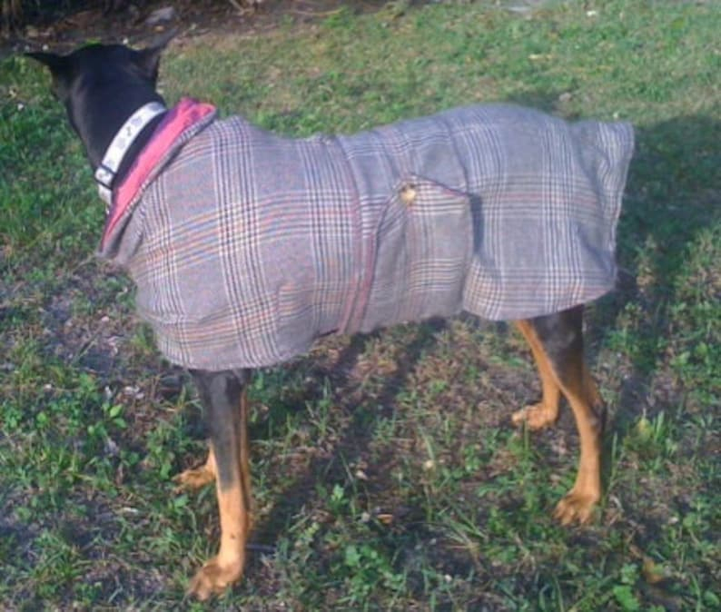 Patron Manteau Grand Chien À Coudre - Etsy France serapportantà Gratuit Patron Manteau Chien Pdf