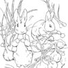 Peter Rabbit | Coloriage, Pierre Lapin, Livre De Couleur encequiconcerne Coloriage Pierre Lapin