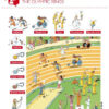 Pick It Up!: Olympic Games : L'Imagier Des Jo Pour Les Petits encequiconcerne Projet Jeux Olympiques Maternelle