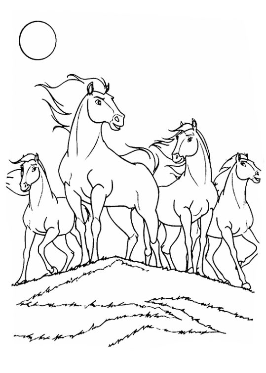 Pin On Coloring Pages pour Coloriage Cheval Sauvage
