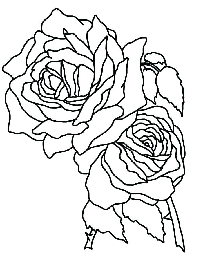 Rose Mandala Coloring Pages At Getcolorings | Free Printable intérieur Coloriage Rose Mandala