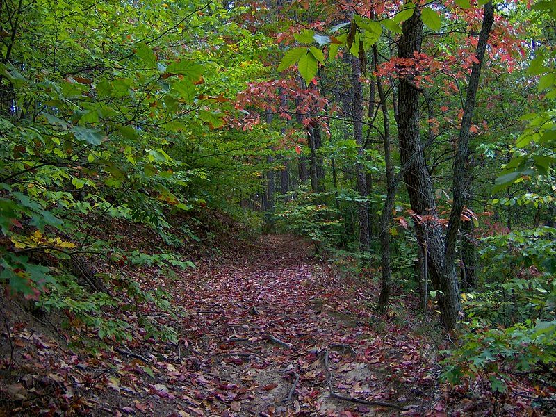 The Ghost House Trail Is The Most Haunted Hike In Tennessee Great destiné Tn Ghost Green