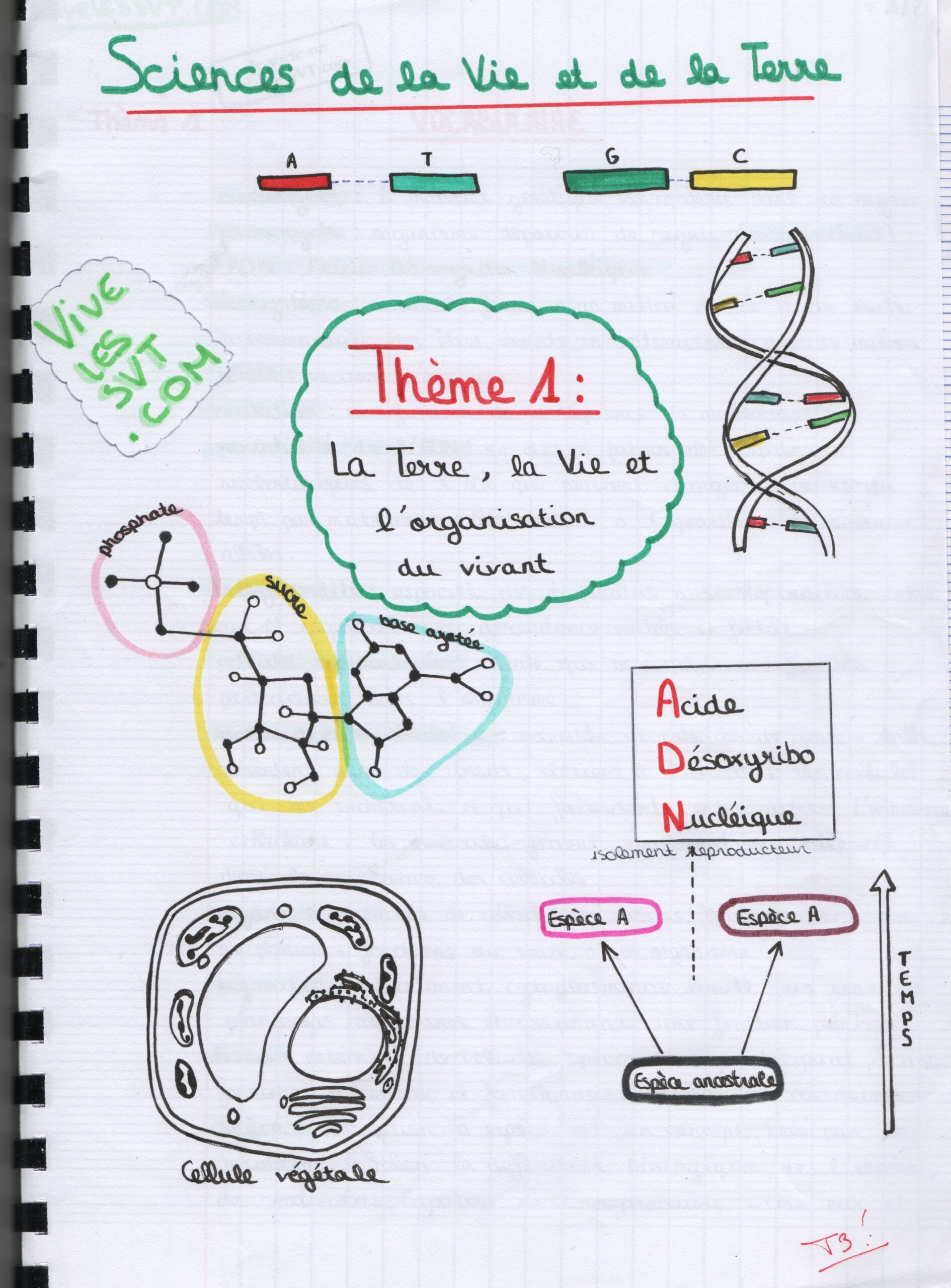 Thème I - La Terre, La Vie Et L'Organisation Du Vivant | Vive Les Svt pour Page De Garde Sciences