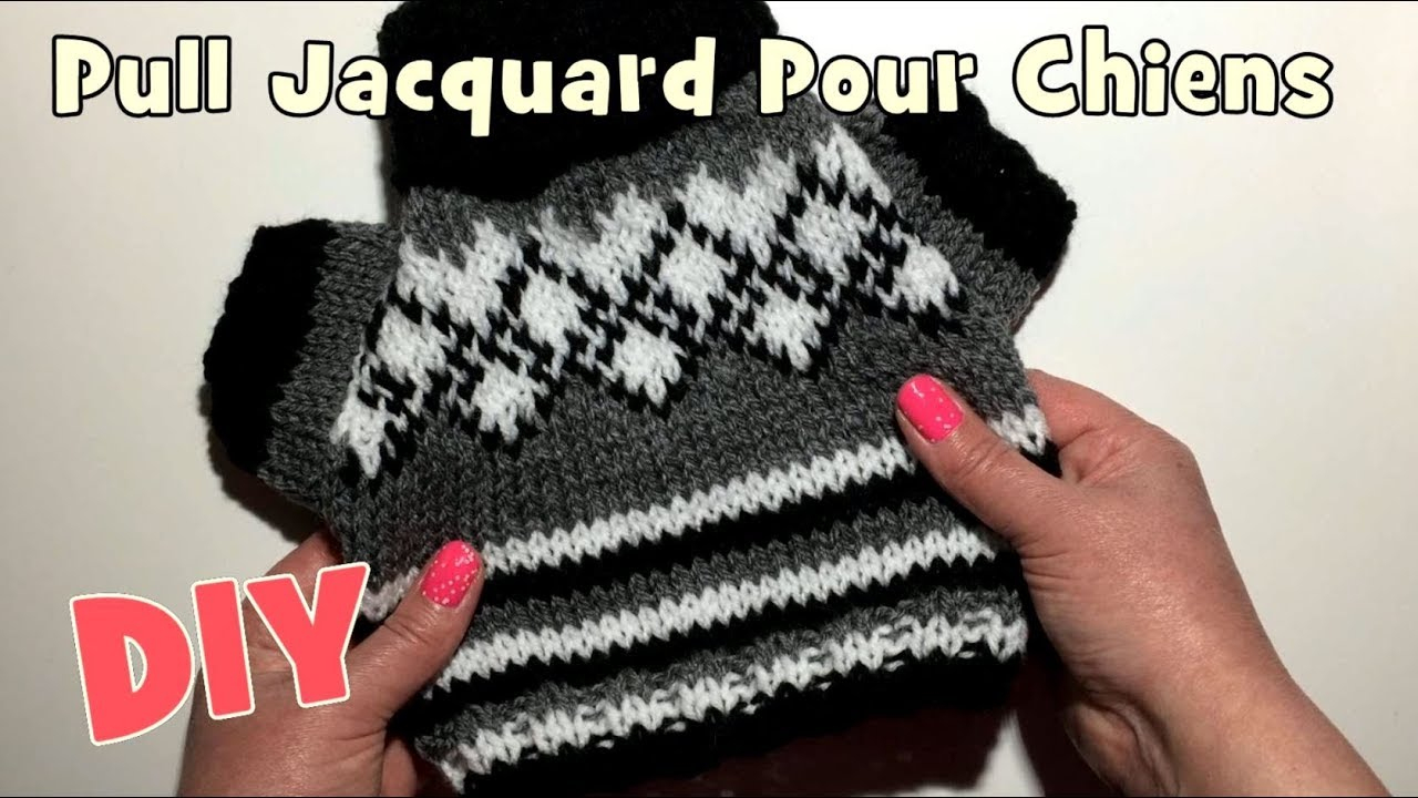 Tuto Manteau Pour Chien Au Tricot - Chien Nouvelles à Gratuit Patron Manteau Chien Pdf