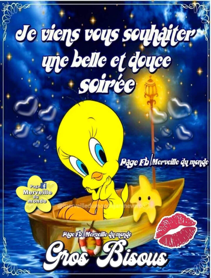 Tweety, Halloween, Words, Fictional Characters, Art, Gifts dedans Images Bonne Soirée Humour