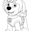 Zuma Is A Male Character From Paw Patrol. He Is A Chocolate Labrador destiné Coloriage Zuma