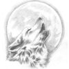 1001 + Astuces D'Artiste Pour Apprendre À Réaliser Un Dessin De Loup encequiconcerne Coloriage Loup Qui Hurle