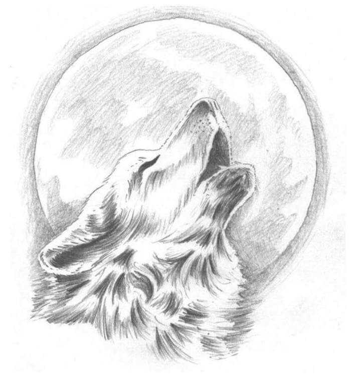 1001 + Astuces D'Artiste Pour Apprendre À Réaliser Un Dessin De Loup encequiconcerne Coloriage Loup Qui Hurle