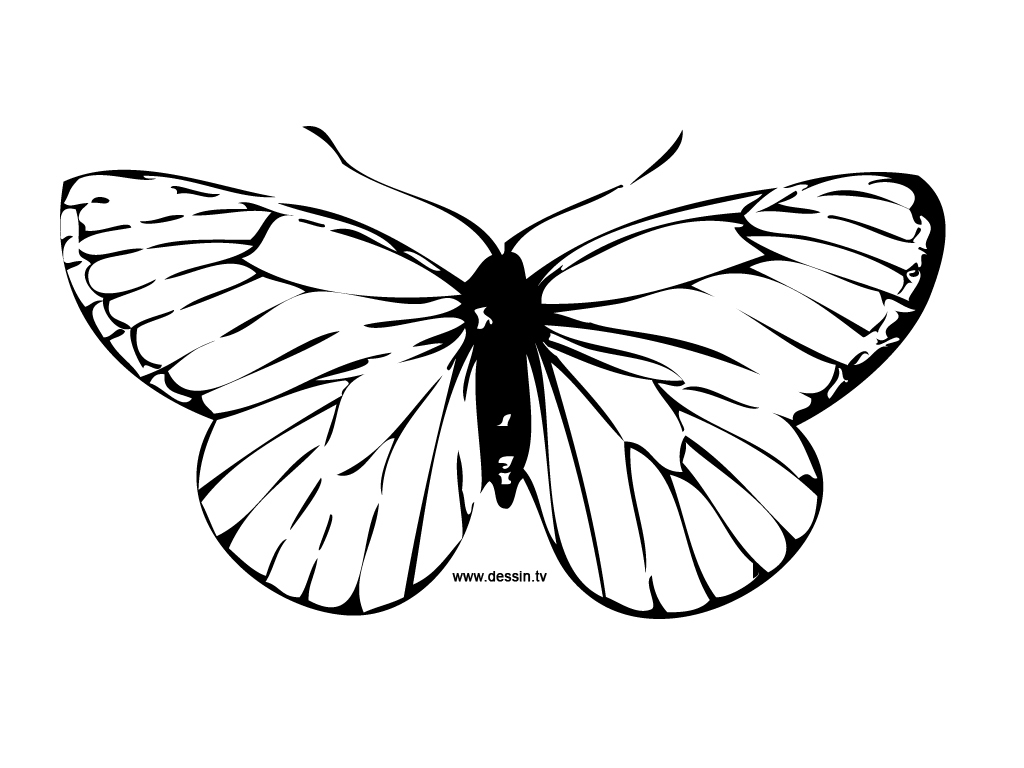 110 Dessins De Coloriage Papillon À Imprimer Sur Laguerche - Page 2 pour Grand Papillon À Imprimer