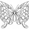 110 Dessins De Coloriage Papillon À Imprimer Sur Laguerche - Page 5 serapportantà Grand Papillon À Imprimer