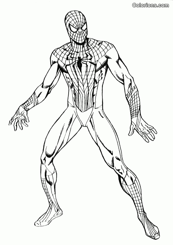 167 Dessins De Coloriage Spiderman À Imprimer Sur Laguerche - Page 9 avec Coloriages À Imprimer Spiderman