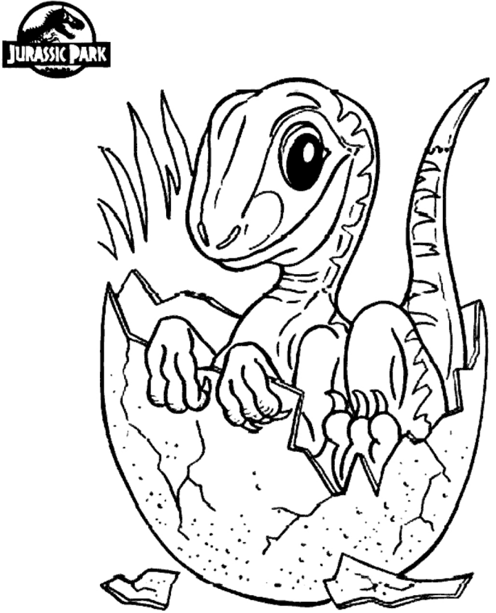 Baby Dinosaur In Jurassic World Coloring Page - Free Printable Coloring destiné Dessin Dinosaure Jurassic World