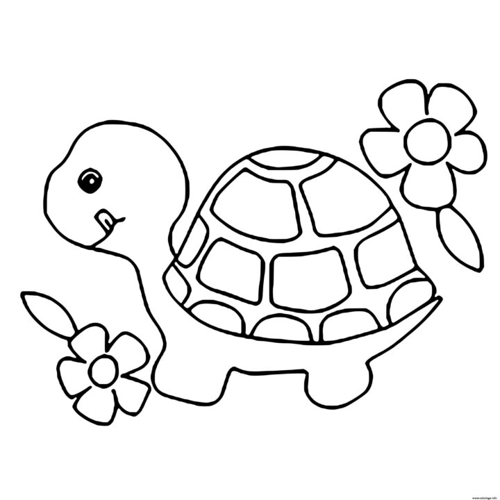 Coloriage Animaux Pour Enfants Facile Tortue - Jecolorie dedans Coloriage Pour Bebe À Imprimer